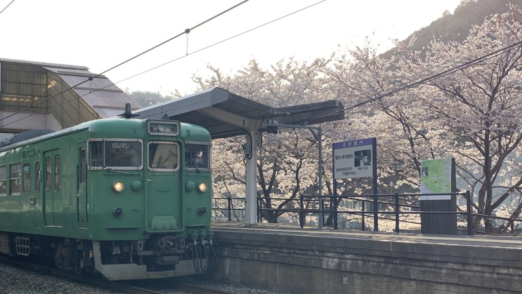 JR真倉駅の桜